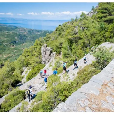 Lägenhet Comfortable Spacious At Position / Fil27 Kalamata